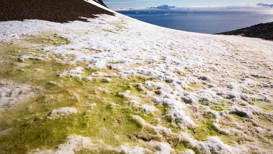 The study challenges previous research suggesting the ACC might speed up due to increasing temperature differences across latitudes. The study challenges previous research suggesting the ACC might speed up due to increasing temperature differences across latitudes.