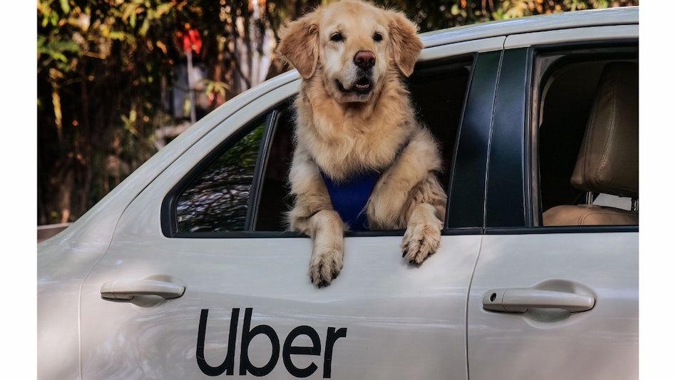 Uber Pet Uber Pet