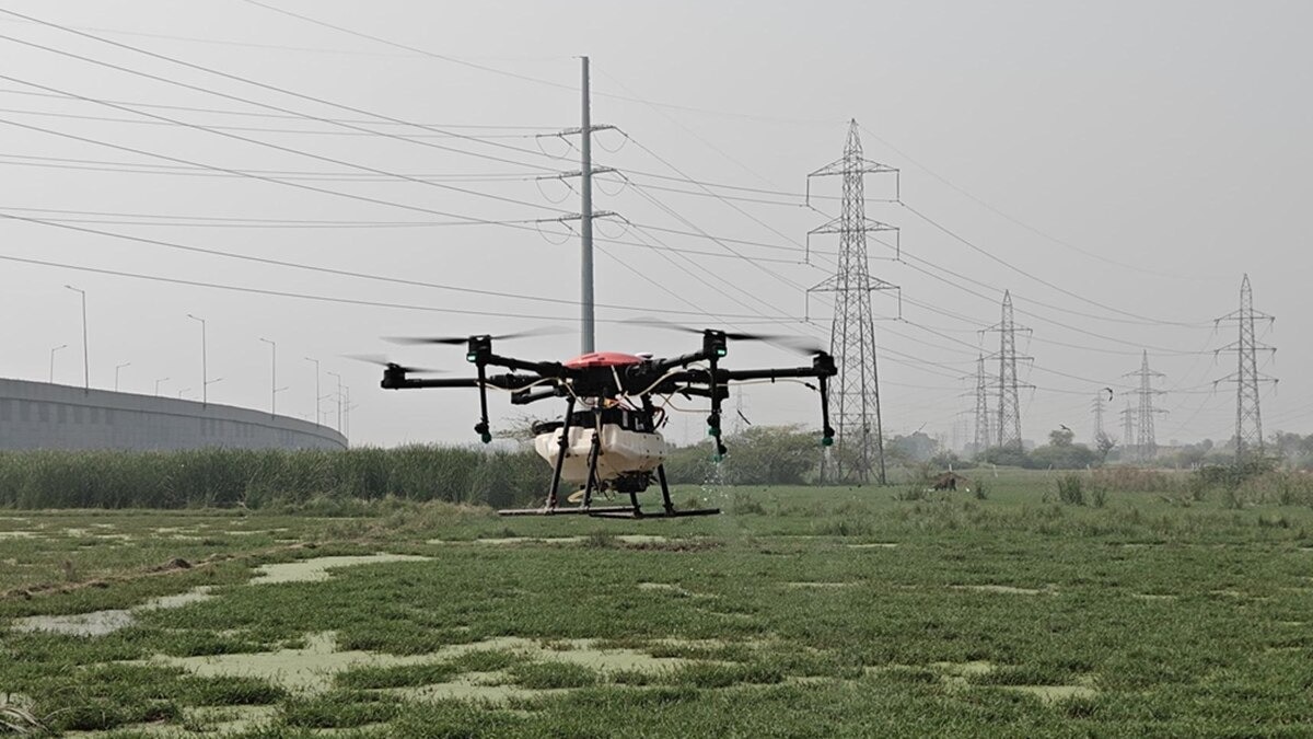 Defence shares: The stock was down 1.34 per cent at Rs 1,175.30. The company operates in the niche categories of simulators and counter drone systems. Defence shares: The stock was down 1.34 per cent at Rs 1,175.30. The company operates in the niche categories of simulators and counter drone systems.