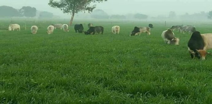 India's regulatory environment does not currently allow for Agricultural REITs. Under SEBI’s Real Estate Investment Trusts (REIT) Regulations, 2014, India's regulatory environment does not currently allow for Agricultural REITs. Under SEBI’s Real Estate Investment Trusts (REIT) Regulations, 2014,