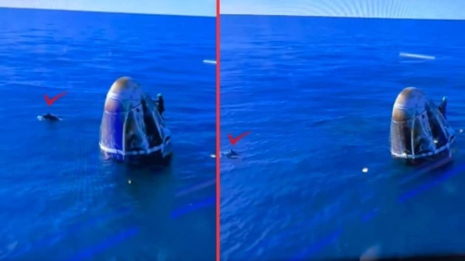 Watch: SpaceX capsule carrying Sunita Williams and Crew-9 lands safely after prolonged mission Watch: SpaceX capsule carrying Sunita Williams and Crew-9 lands safely after prolonged mission