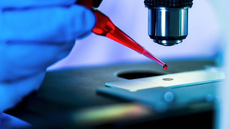 The specialty chemicals sector has faced headwinds over the past year, but Q4 FY25 shows signs of stabilisation. The specialty chemicals sector has faced headwinds over the past year, but Q4 FY25 shows signs of stabilisation.