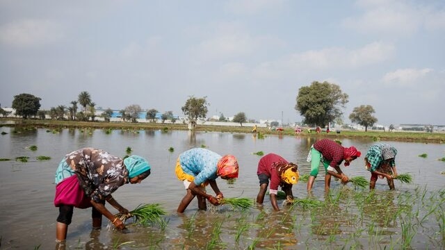 Since November 15, 2023, more than 1.5 crore new farmers have been added to the PM-KISAN scheme. Since November 15, 2023, more than 1.5 crore new farmers have been added to the PM-KISAN scheme.