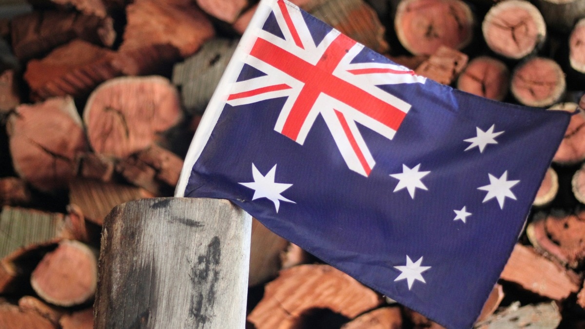 The author shared that the cultural environment is often perceived as cold, with people being friendly yet not fostering deeper connections. The author shared that the cultural environment is often perceived as cold, with people being friendly yet not fostering deeper connections.