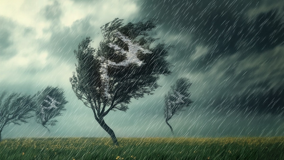 SIPs in the Age of Volatility SIPs in the Age of Volatility