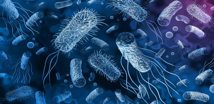 In 2019 alone, antimicrobial resistance (AMR) claimed 1.27 million lives, with nearly 5 million deaths associated with drug-resistant infections. In 2019 alone, antimicrobial resistance (AMR) claimed 1.27 million lives, with nearly 5 million deaths associated with drug-resistant infections.