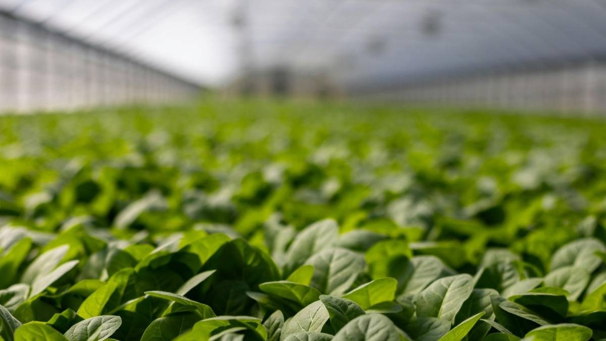 Tax experts admit the loophole is nothing new, but it’s now seeing a surge amid the post-pandemic rush for second homes and safe assets Tax experts admit the loophole is nothing new, but it’s now seeing a surge amid the post-pandemic rush for second homes and safe assets