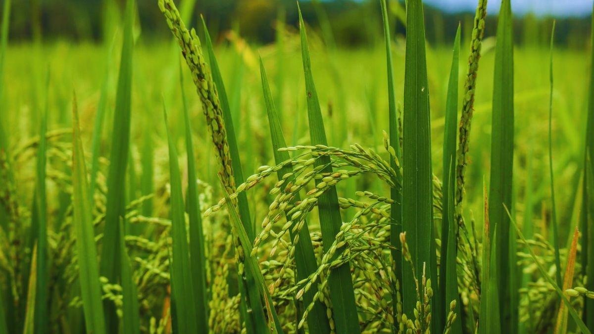 Not all investors chase highs on markets, some believe in diversifying their wealth into fixed deposits, liquid or short-duration debt funds to keep their money productive. Not all investors chase highs on markets, some believe in diversifying their wealth into fixed deposits, liquid or short-duration debt funds to keep their money productive.