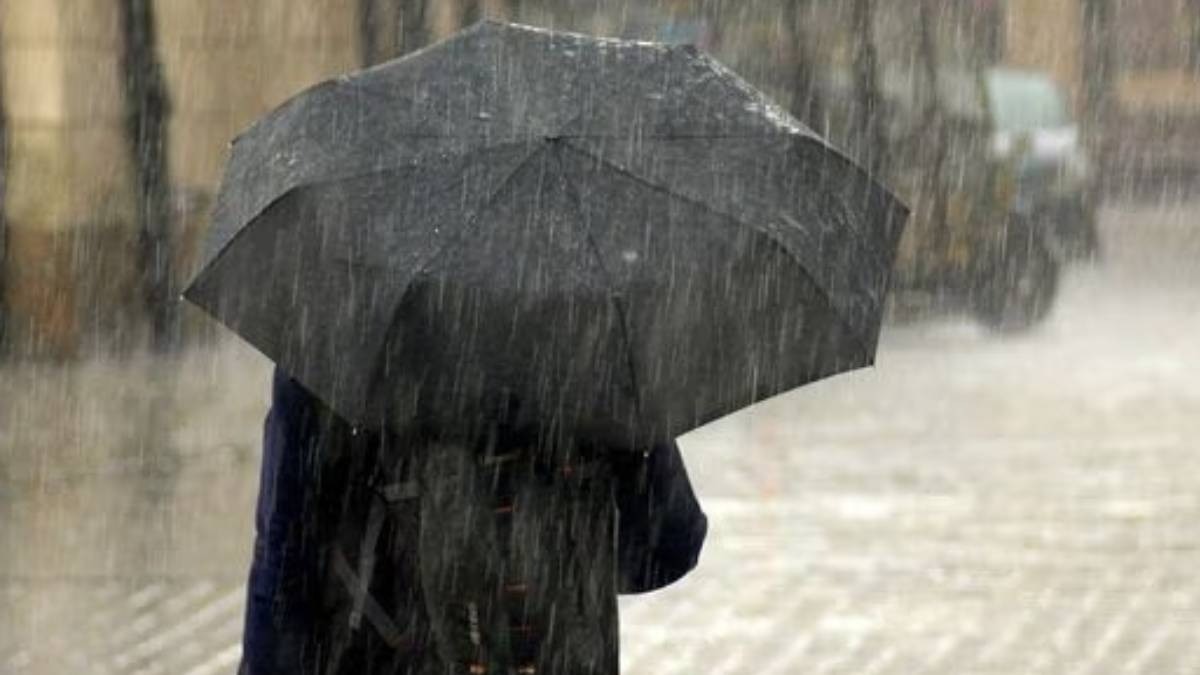 Insurance covers damages due to natural disasters, such as floods, cyclones, landslides, fire, lightning, riots, and even theft after such events. Insurance covers damages due to natural disasters, such as floods, cyclones, landslides, fire, lightning, riots, and even theft after such events.