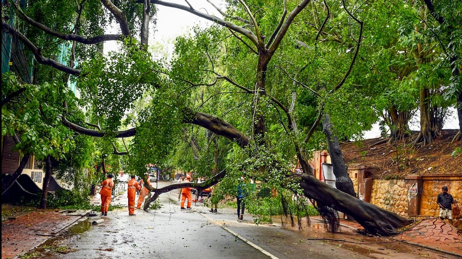 Kerala weather alert: Schools shut in 9 districts due to heavy rain Kerala weather alert: Schools shut in 9 districts due to heavy rain