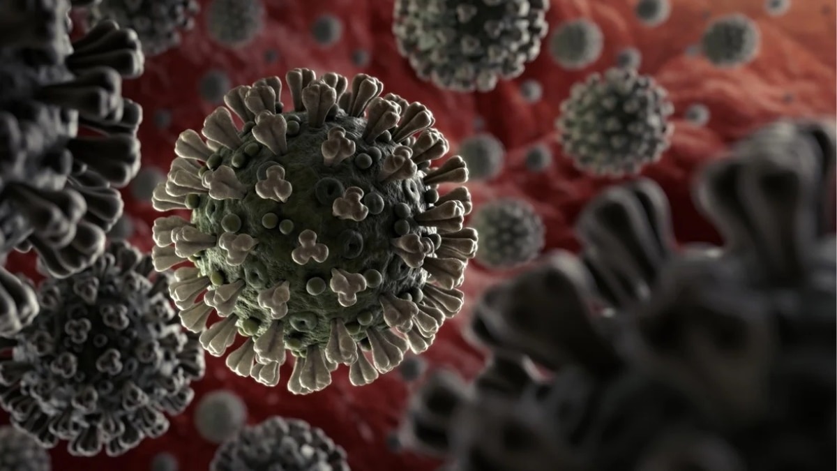 India’s COVID-19 numbers continue to inch slowly towards the 6,000-mark. Active cases now stand at 5,755, with 73 new infections reported in Delhi over the past 24 hours. India’s COVID-19 numbers continue to inch slowly towards the 6,000-mark. Active cases now stand at 5,755, with 73 new infections reported in Delhi over the past 24 hours.