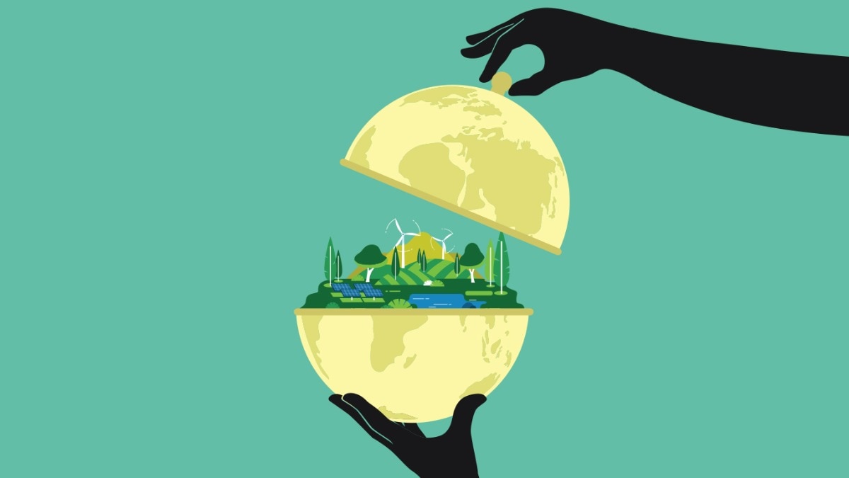 The New Green Order The New Green Order