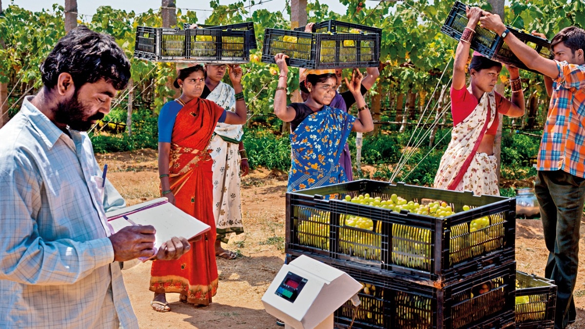 Will the Alcobev Industry’s Bet on Sustainable Practices pay off? Will the Alcobev Industry’s Bet on Sustainable Practices pay off?