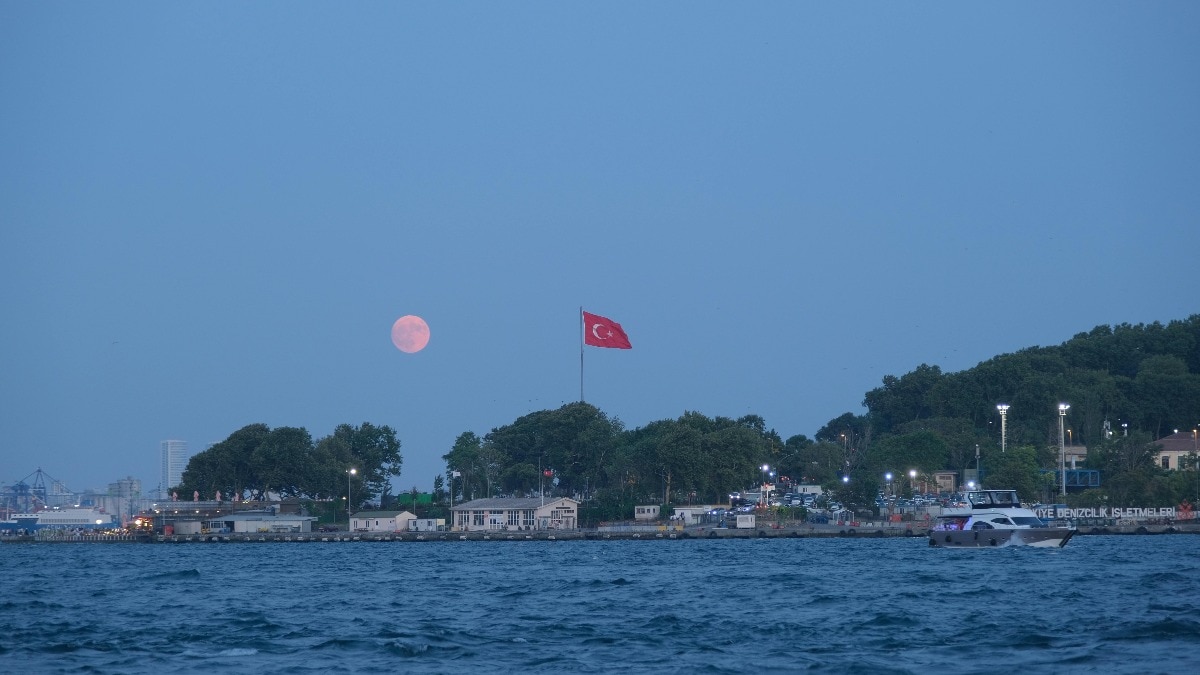 India, which imports 90% of its crude — with over 40% coming through Hormuz — is especially vulnerable. India, which imports 90% of its crude — with over 40% coming through Hormuz — is especially vulnerable.