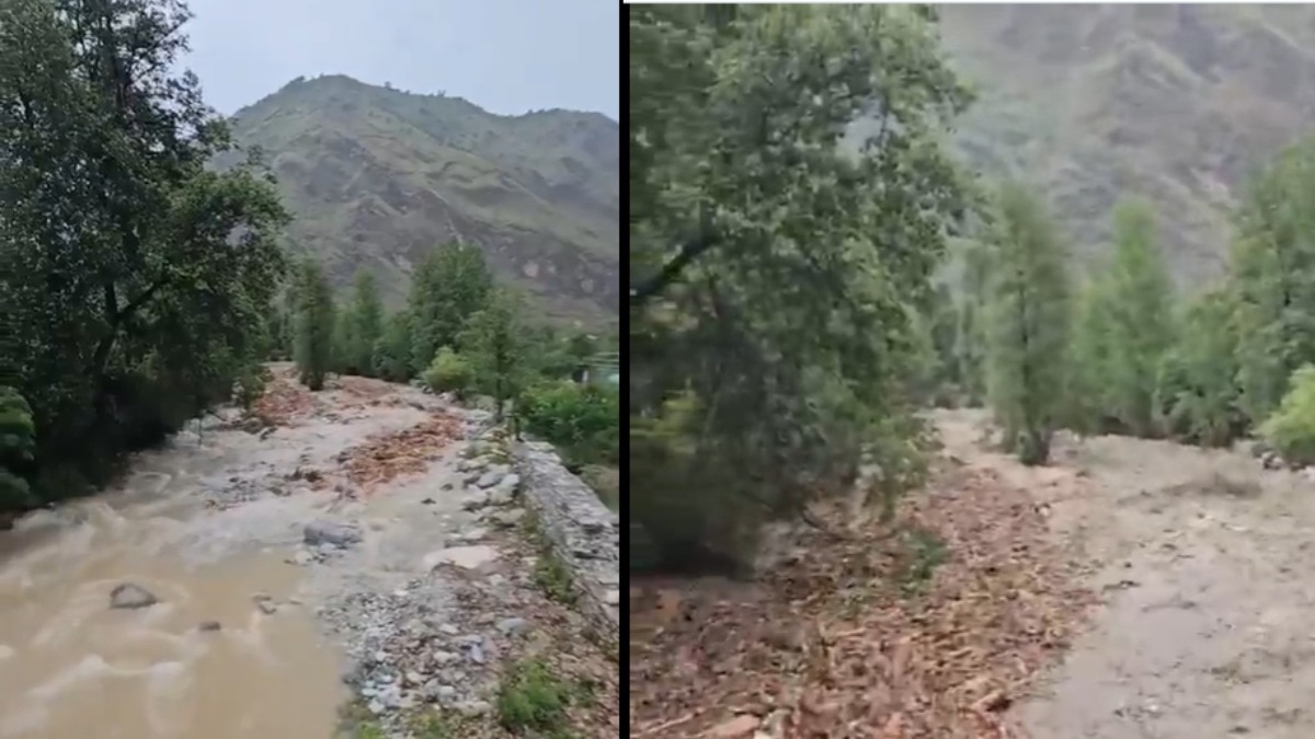 The video shared by Saini features the Beas River, which has been significantly affected by environmental issues such as flooding and wood debris from deforestation. The video shared by Saini features the Beas River, which has been significantly affected by environmental issues such as flooding and wood debris from deforestation.