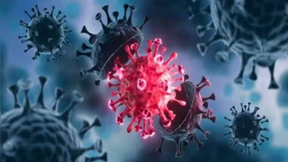 COVID-19 tally in Maharashtra reaches 2,449 COVID-19 tally in Maharashtra reaches 2,449