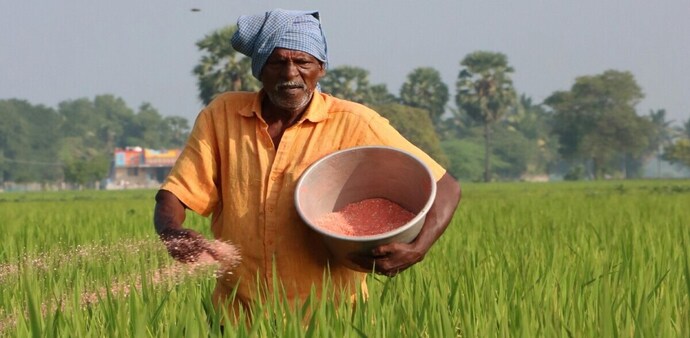 India imports a significant portion of its DAP fertiliser requirements from countries like China, Morocco and Saudi Arabia. India imports a significant portion of its DAP fertiliser requirements from countries like China, Morocco and Saudi Arabia.