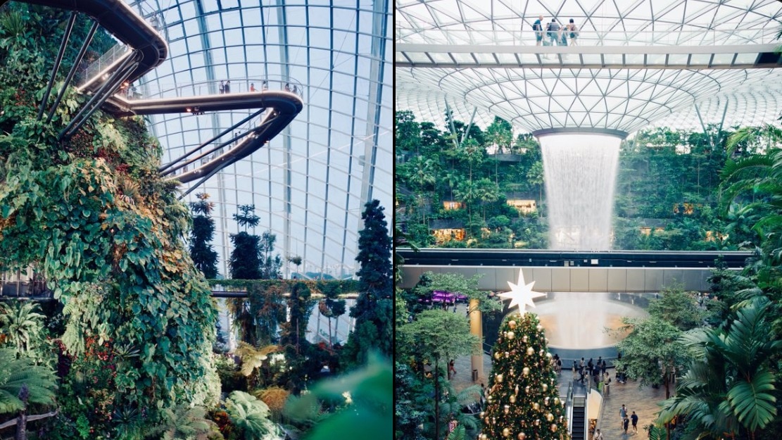 Singapore wins praise as founder reveals tax savings, food wonders, and tropical lifestyle (X/@MengTo) Singapore wins praise as founder reveals tax savings, food wonders, and tropical lifestyle (X/@MengTo)