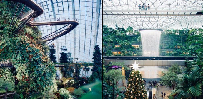Singapore wins praise as founder reveals tax savings, food wonders, and tropical lifestyle (X/@MengTo) Singapore wins praise as founder reveals tax savings, food wonders, and tropical lifestyle (X/@MengTo)