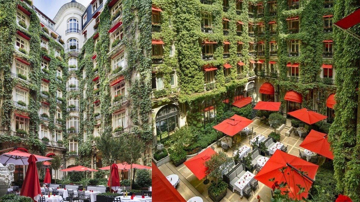 La Cour Jardin La Cour Jardin