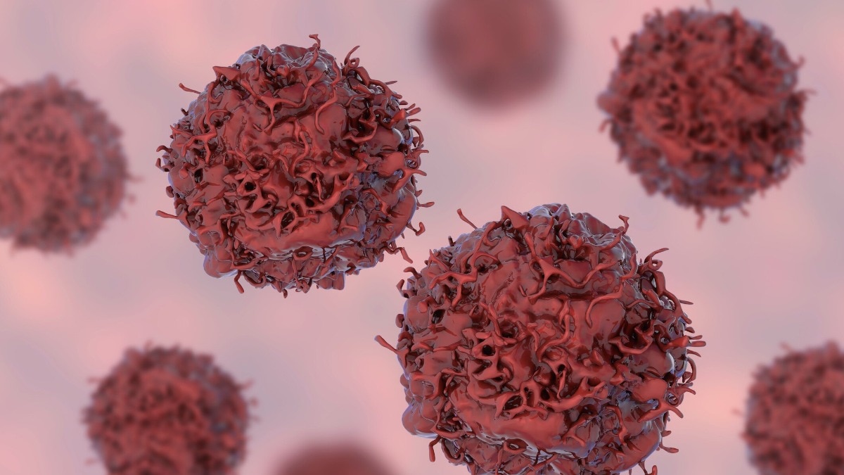 The new technology could make T cell–based immunotherapies safer and more effective.