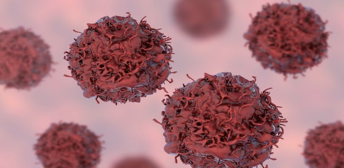 The new technology could make T cell–based immunotherapies safer and more effective. The new technology could make T cell–based immunotherapies safer and more effective.