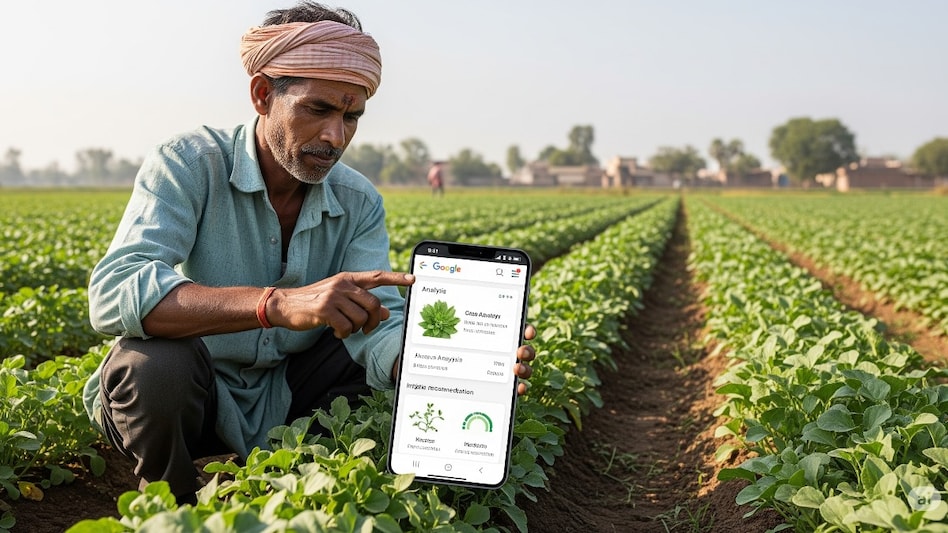 Google AMED API for Indian agriculture, AMED API crop monitoring tool, Google AI for farming India 2025 Google AMED API for Indian agriculture, AMED API crop monitoring tool, Google AI for farming India 2025