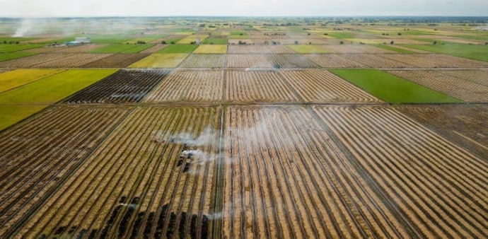 If current trends continue, Punjab could deplete its groundwater within 10 to 14 years. If current trends continue, Punjab could deplete its groundwater within 10 to 14 years.