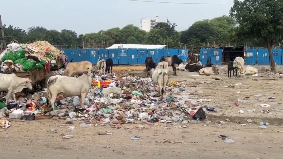 Sanjiv Kapoor: India must not accept the status quo as civic failures plague Delhi-NCR Sanjiv Kapoor: India must not accept the status quo as civic failures plague Delhi-NCR