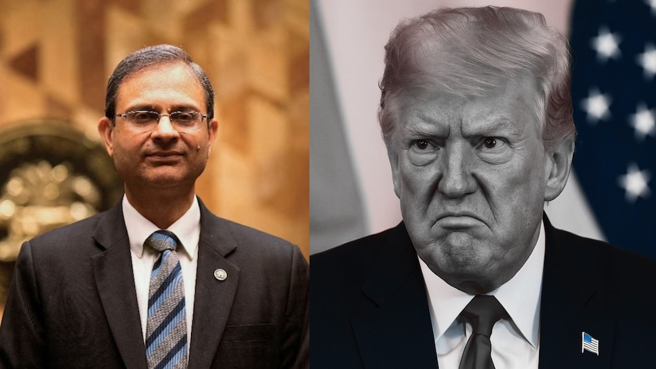 The RBI boss' comments came after Trump on Tuesday said that he might 'substantially' hike tariffs on India in the next 24 hours. The RBI boss' comments came after Trump on Tuesday said that he might 'substantially' hike tariffs on India in the next 24 hours.