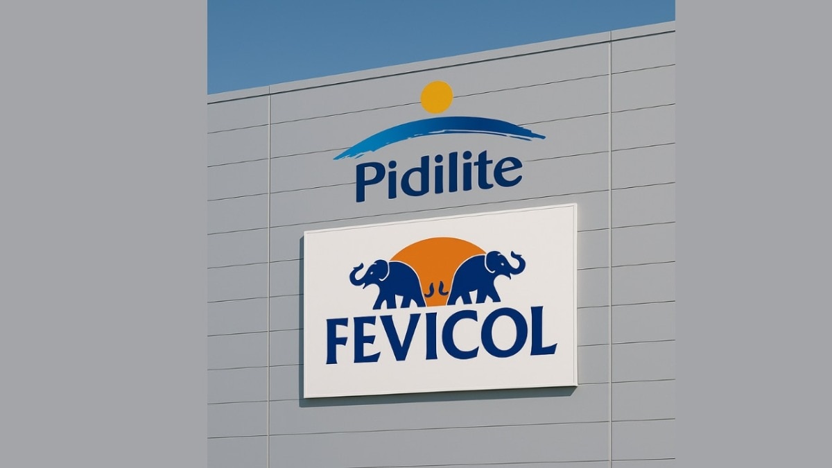 Pidilite's board also approved significant shareholder returns in the form of a bonus issue and a special dividend. Pidilite's board also approved significant shareholder returns in the form of a bonus issue and a special dividend.