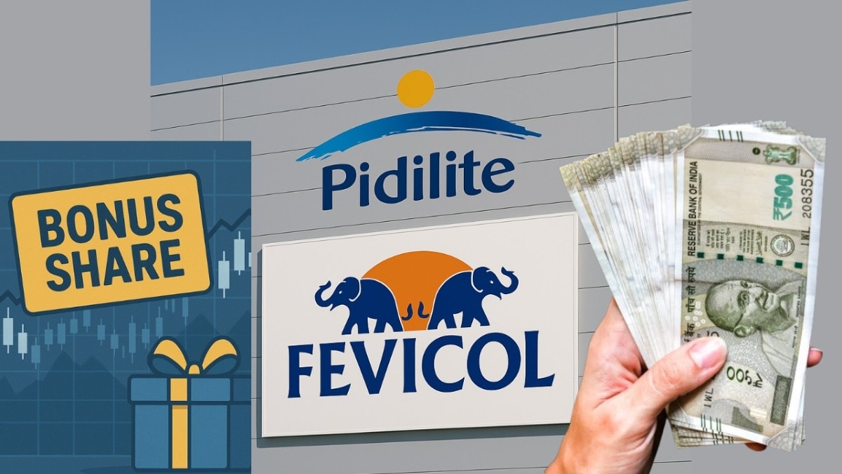 Pidilite shares rose 1.44 per cent to close at Rs 3,040.85 on Wednesday. Pidilite shares rose 1.44 per cent to close at Rs 3,040.85 on Wednesday.