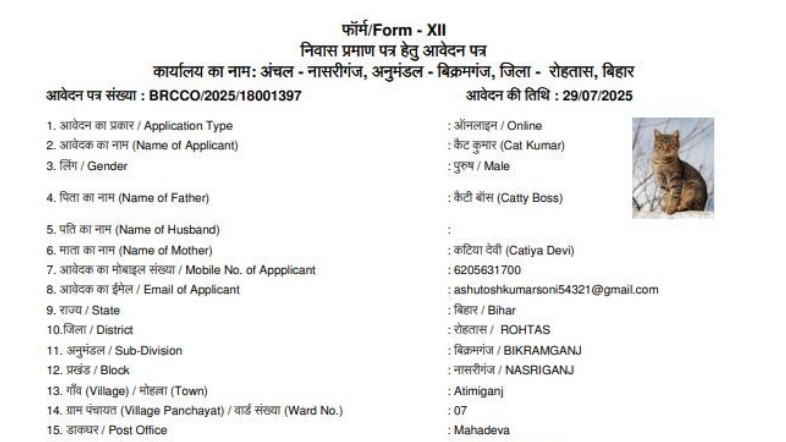 Bihar elections 2025: After 'Donald Trump' in Samastipur, Cat Kumar's residential certificate application surfaces from Rohtas
