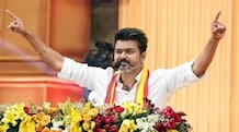 'A lion is always a lion': Vijay vows solo fight, rules out alliance with BJP, DMK Actor-turned-politician Vijay