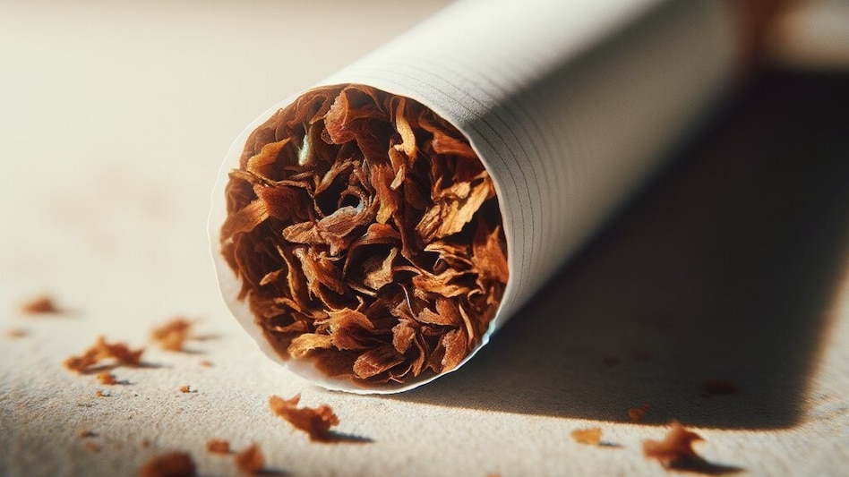 The Fitment Committee, comprising officials from the Centre and states, recommended linking the valuation of Pan Masala, Gutkha, Cigarettes, and Chewing Tobacco to their RSP printed on the package. The Fitment Committee, comprising officials from the Centre and states, recommended linking the valuation of Pan Masala, Gutkha, Cigarettes, and Chewing Tobacco to their RSP printed on the package.