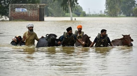 Punjab floods: 110 km of international border fence damaged; worst flood in state since 1988