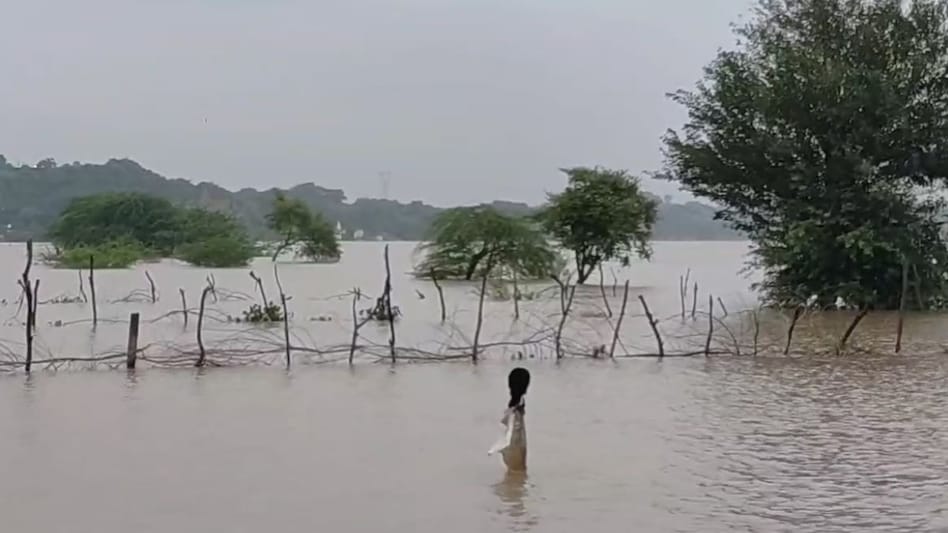 A Contents Cover policy under home insurance and is designed to safeguard your personal belongings against a broad spectrum of unforeseen events. A Contents Cover policy under home insurance and is designed to safeguard your personal belongings against a broad spectrum of unforeseen events.