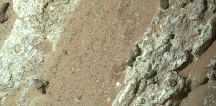 Perseverance’s instruments detected colorful “leopard spot” mineral patterns rich in organic carbon, sulfur, phosphorus, and iron. Notably Perseverance’s instruments detected colorful “leopard spot” mineral patterns rich in organic carbon, sulfur, phosphorus, and iron. Notably