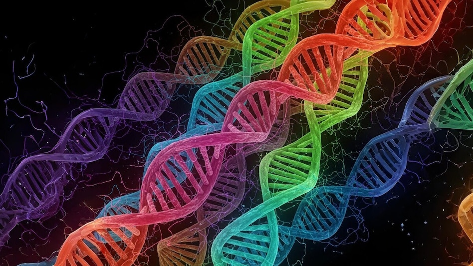 The company sees India not only as a growing market for genetic testing but also as a base for scientific innovation and global operations. The company sees India not only as a growing market for genetic testing but also as a base for scientific innovation and global operations.