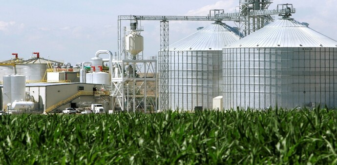 "While sugar mills face policy headwinds and stagnant pricing, grain-based distilleries are sitting on a goldmine of record crop and also huge buffer stock," InCred said. "While sugar mills face policy headwinds and stagnant pricing, grain-based distilleries are sitting on a goldmine of record crop and also huge buffer stock," InCred said.