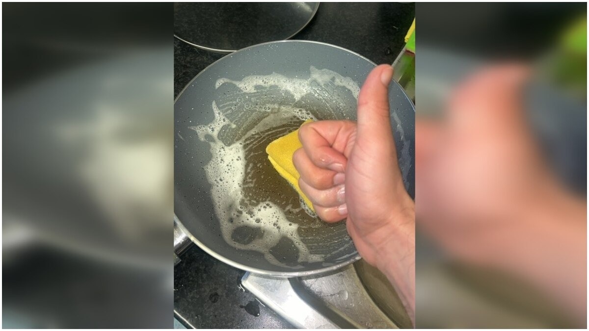 'Keep calm and do your kaam...': NRI’s humorous clip turns into online India vs Abroad debate