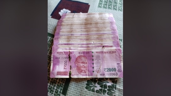 'Biggest safai of 2025': Woman finds ₹2 lakh in old ₹2,000 notes during Diwali clean-up