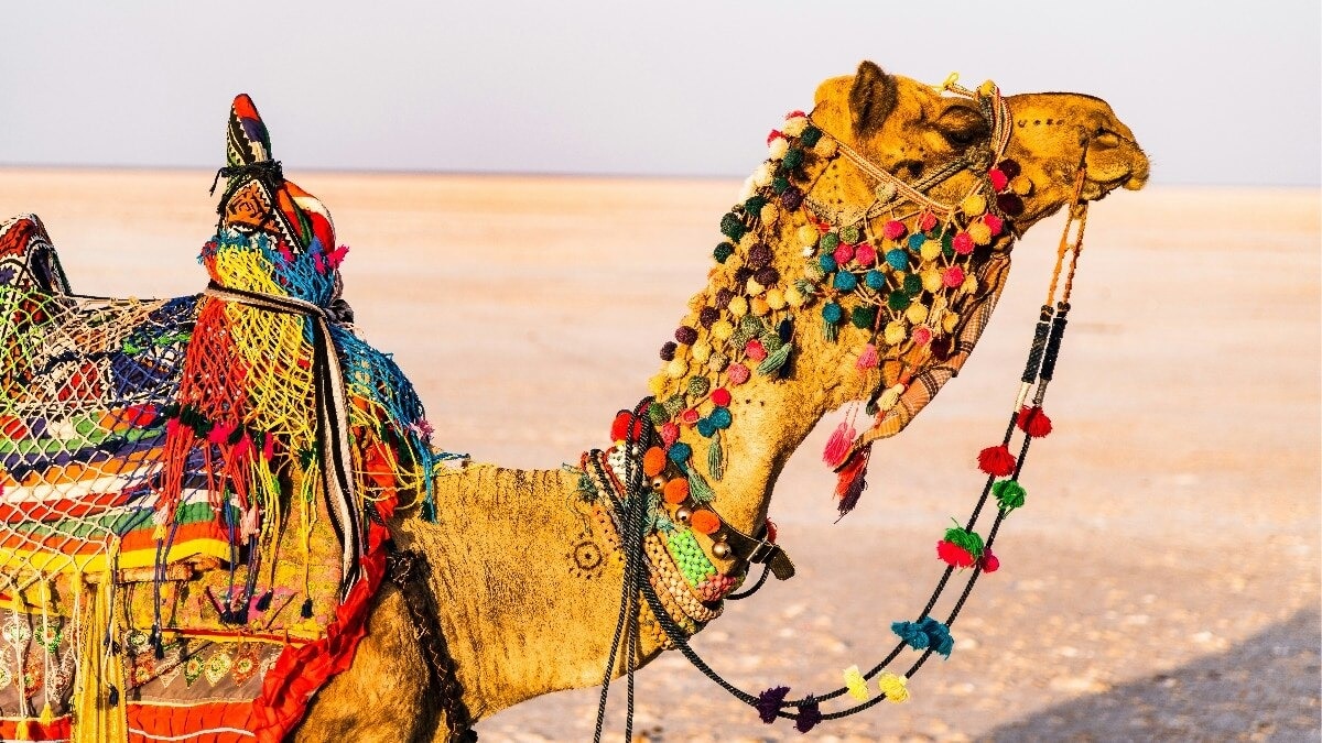 'We have everything but tourists': Bangkok beats India 3:1, analyst calls it a failure