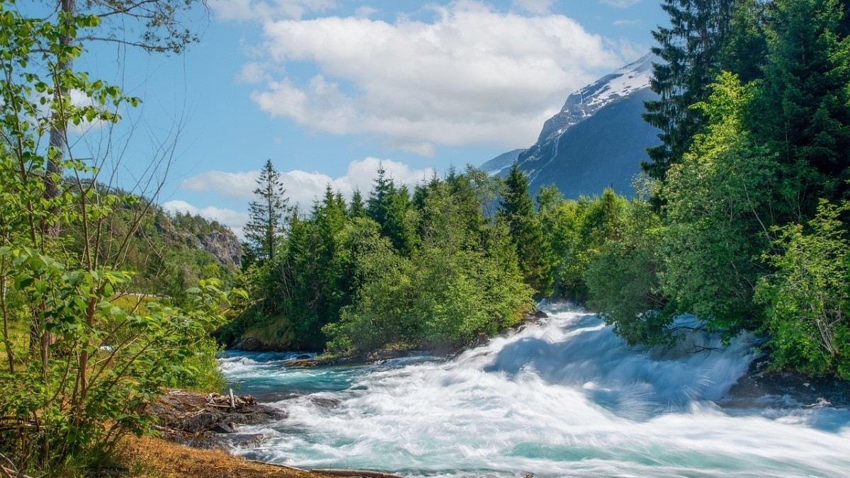 The construction of the dam is expected to impact water supply in Pakistan's Khyber Pakhtunkhwa province, affecting irrigation and drinking water.