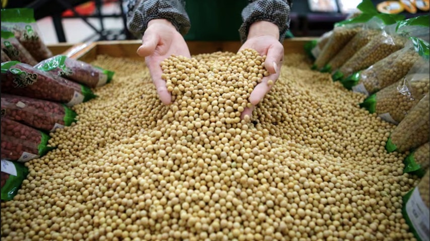 American soybeans was a key component of the US-China trade talks