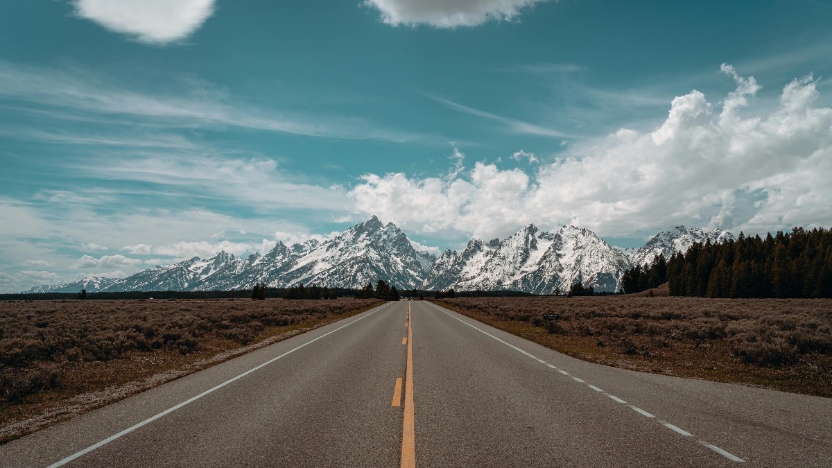 Dilip Buildcon shares closed 1.87% higher at Rs 480 today against the previous close of Rs 469.50. 