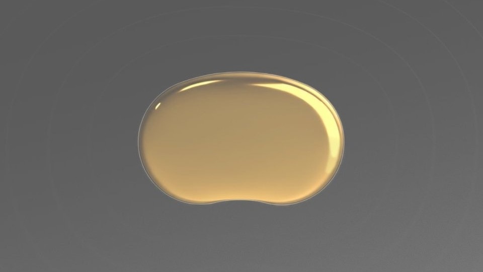 Temple stems from Goyal’s ongoing research into what he calls the Gravity Ageing Hypothesis — an idea suggesting that gravity-induced reductions in brain blood flow may accelerate ageing.