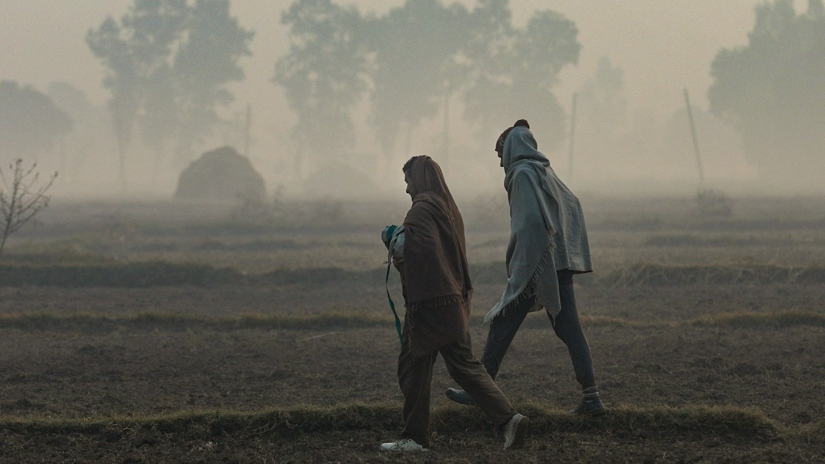 IMD warns of cold wave in these states from Wednesday; here’s the list