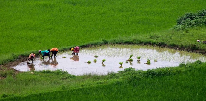 It guarantees 125 days of wage employment per rural household annually, up from the earlier 100 days, for adults willing to do unskilled manual work. It guarantees 125 days of wage employment per rural household annually, up from the earlier 100 days, for adults willing to do unskilled manual work.