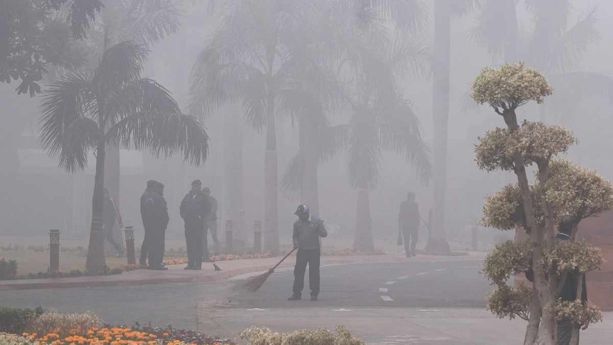 ‘35 by 35’: World Bank’s solutions for tackling air pollution crisis